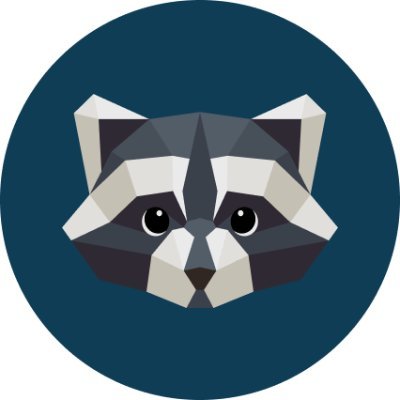 Raccoon Finance