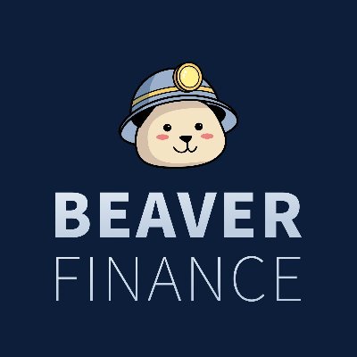 Beaver Finance