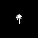 Palm Tree Crew Crypto